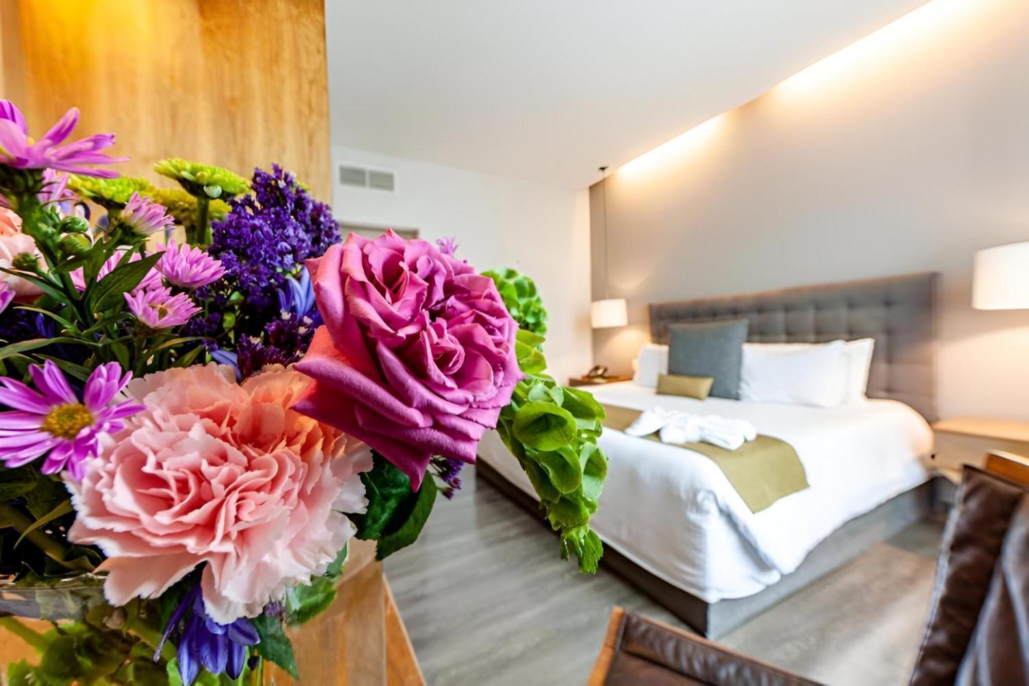 Suites Del Angel Μεξικό Εξωτερικό φωτογραφία